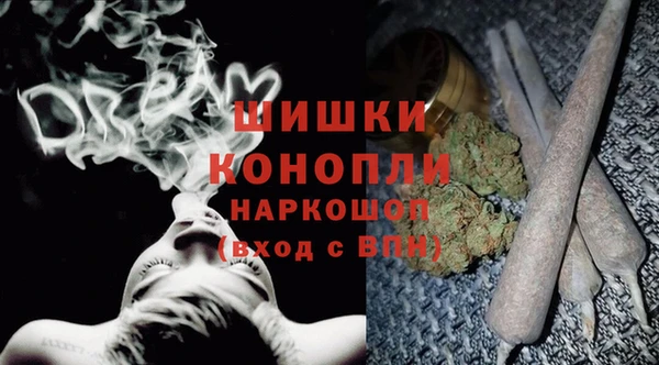 ГАЛЛЮЦИНОГЕННЫЕ ГРИБЫ Вязьма