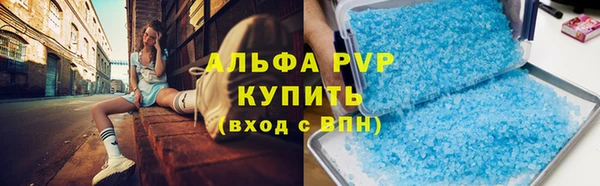 ГАЛЛЮЦИНОГЕННЫЕ ГРИБЫ Вязьма
