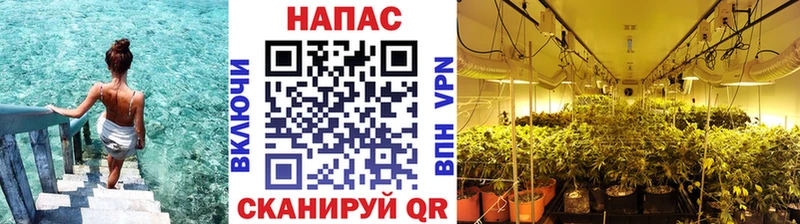 МАРИХУАНА семена  купить закладку  Дюртюли 
